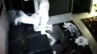 خيال جنسي ثلاثي صريح: إيلاج مزدوج بالألعاب والأنين