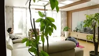 لوطسكس كوري